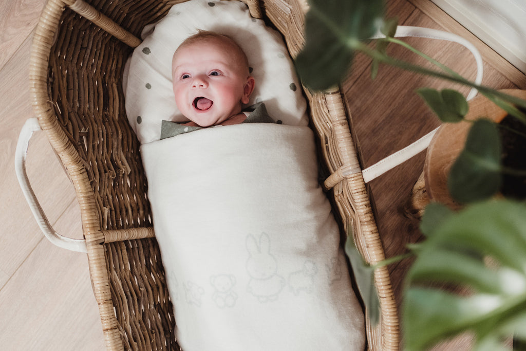 Briljant Baby - Nijntje Deken, Dekens, Briljant Baby, Keekabuu