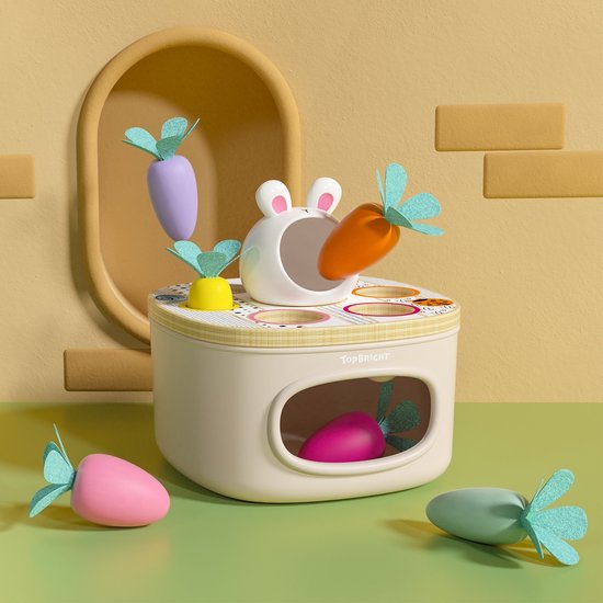 Topbright - Match & Sort Carrots Shape Set